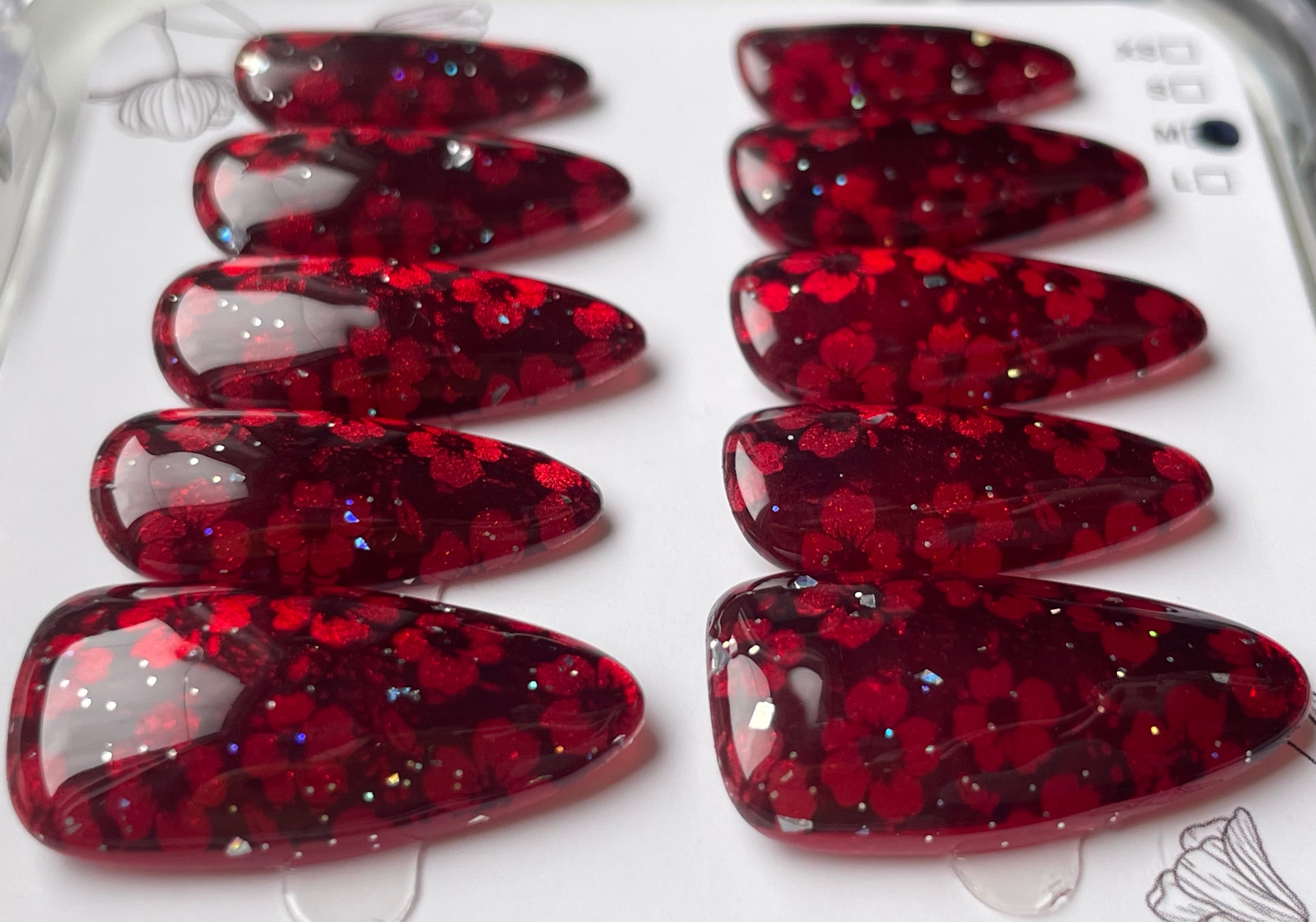 Deep red daisy